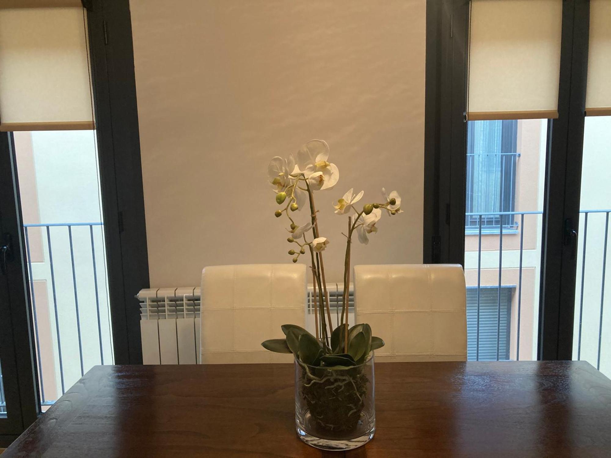 Modern & Cosy Apartment In Jaca Pyrenees Spain Buitenkant foto